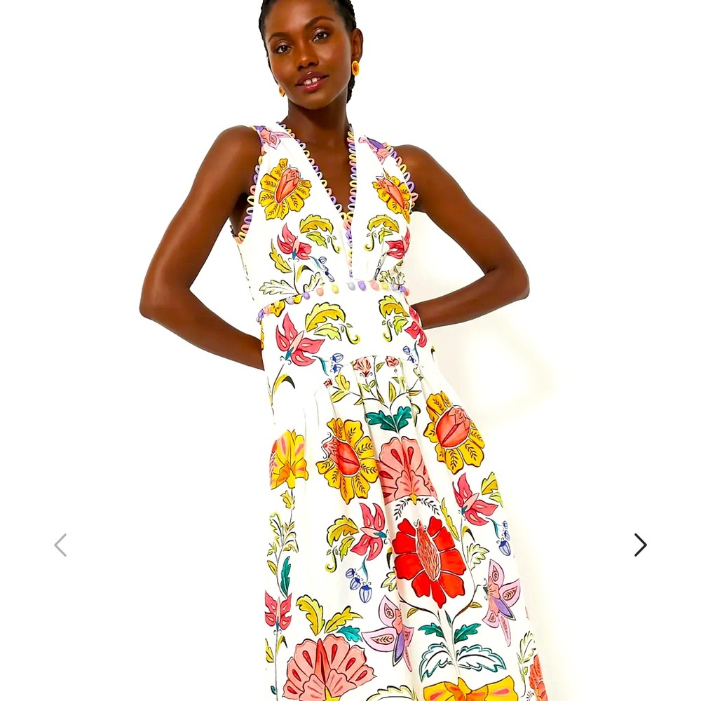 FARM RIO FLORAL INSECTS VNECK SLEEVELESS MAXI DRESS